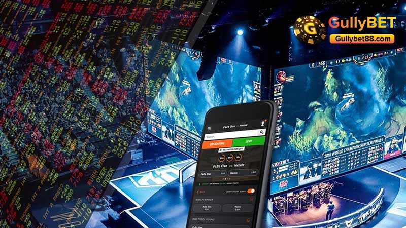 Discover the top 3 hottest betting sports