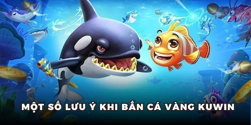 Một số lưu ý khi bắn cá vàng Kubet